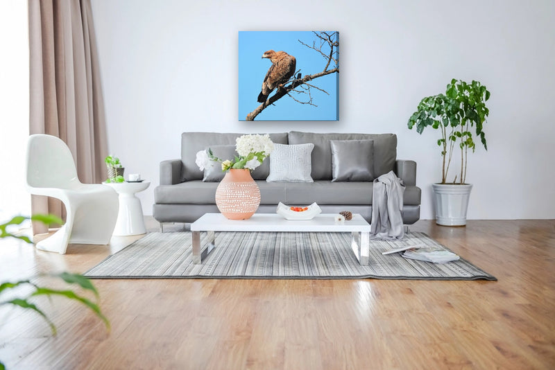Artwork from Art By Mark Isaacs