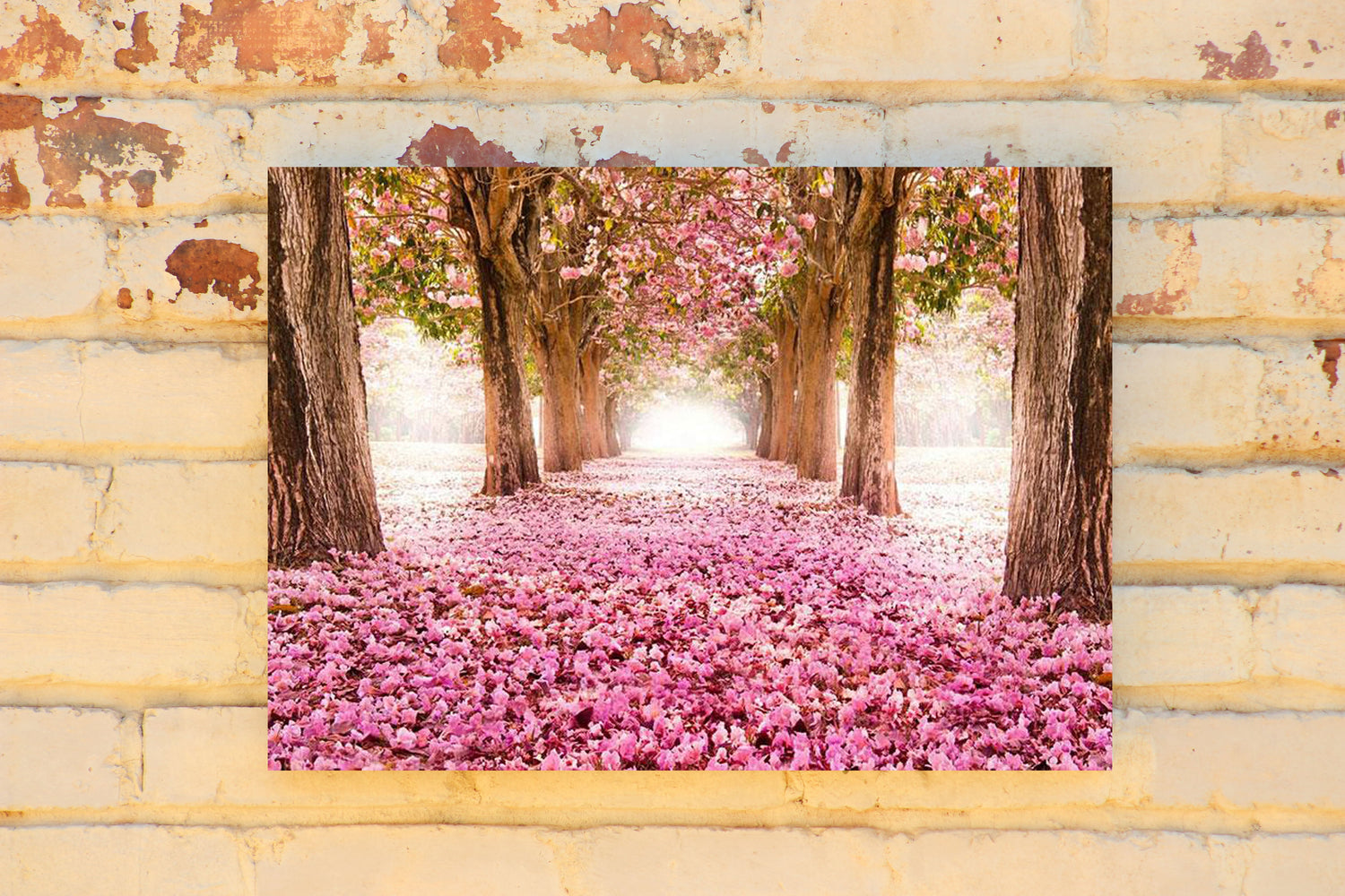 Curated Wall Art & Bundles