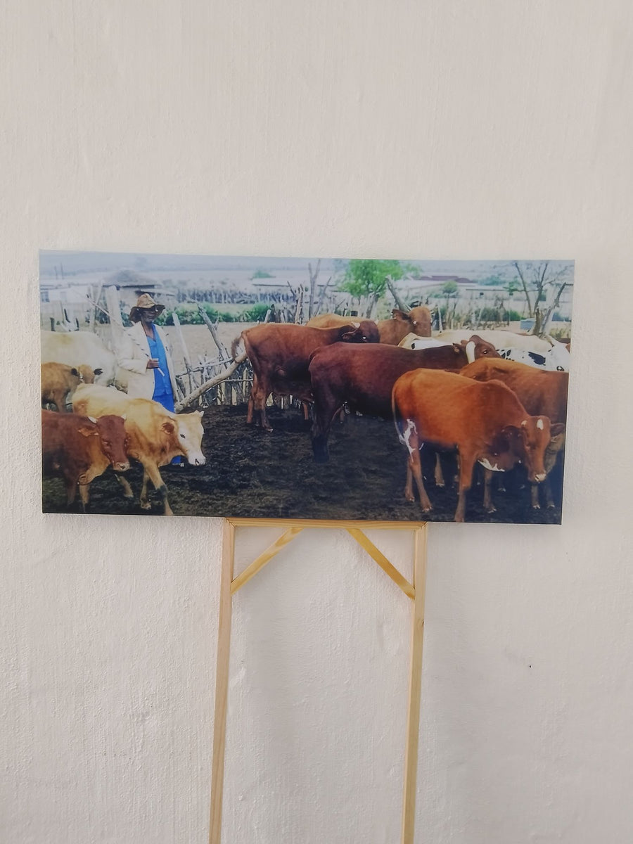 Cattle herd canvas print on a wooden easel