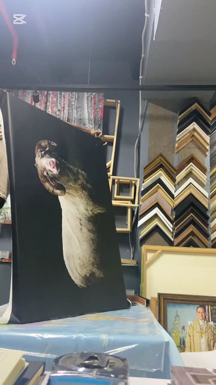 Canvas print in front of our frame moulding wall