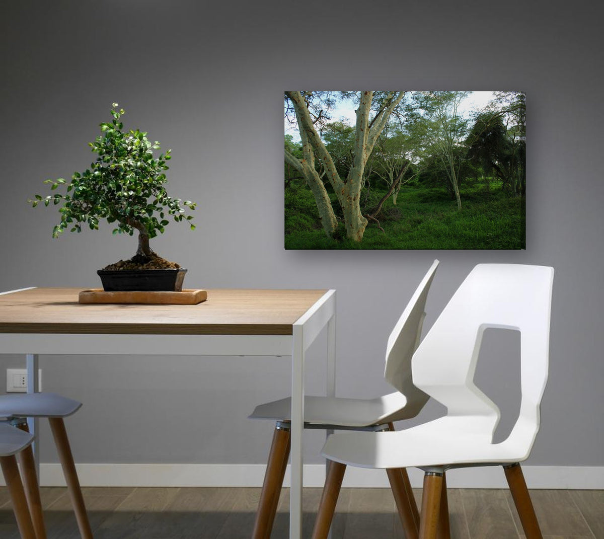 Bushveld Woodland by Mark Isaacs canvas print in a dining nook