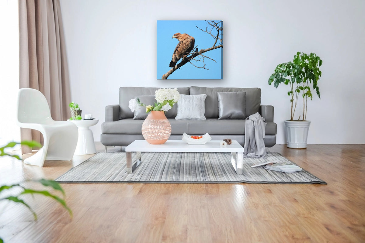 Eagle on a Bare Branch by Mark Isaacs canvas print in a living room