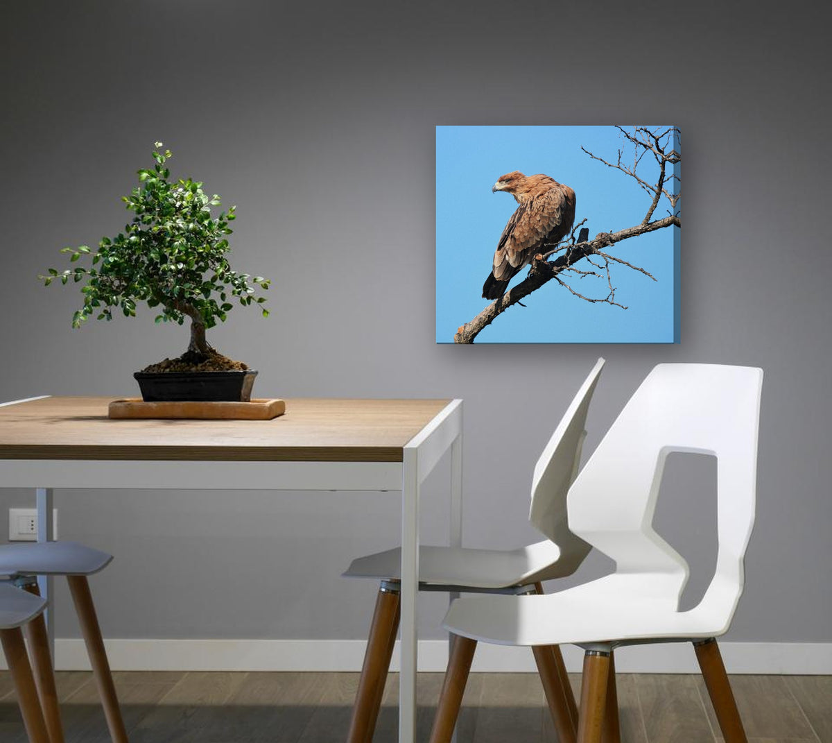 Eagle on a Bare Branch by Mark Isaacs canvas print in a dining nook
