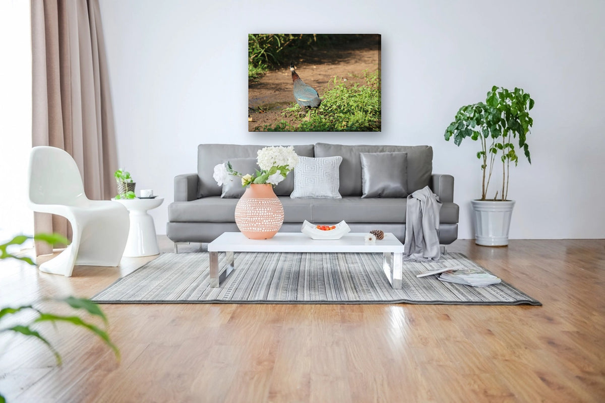 Guineafowl on the Path by Mark Isaacs canvas print in a living room