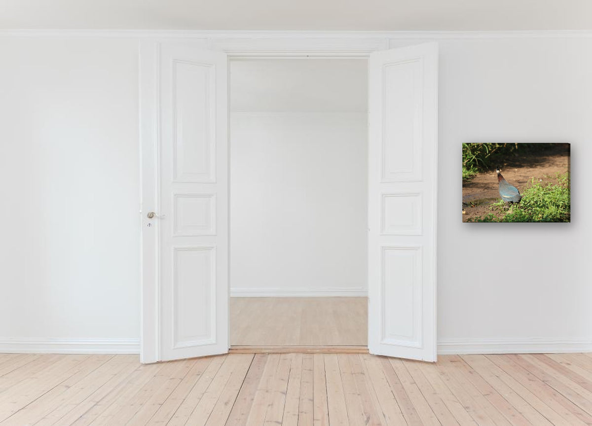 Guineafowl on the Path by Mark Isaacs canvas print in a hallway