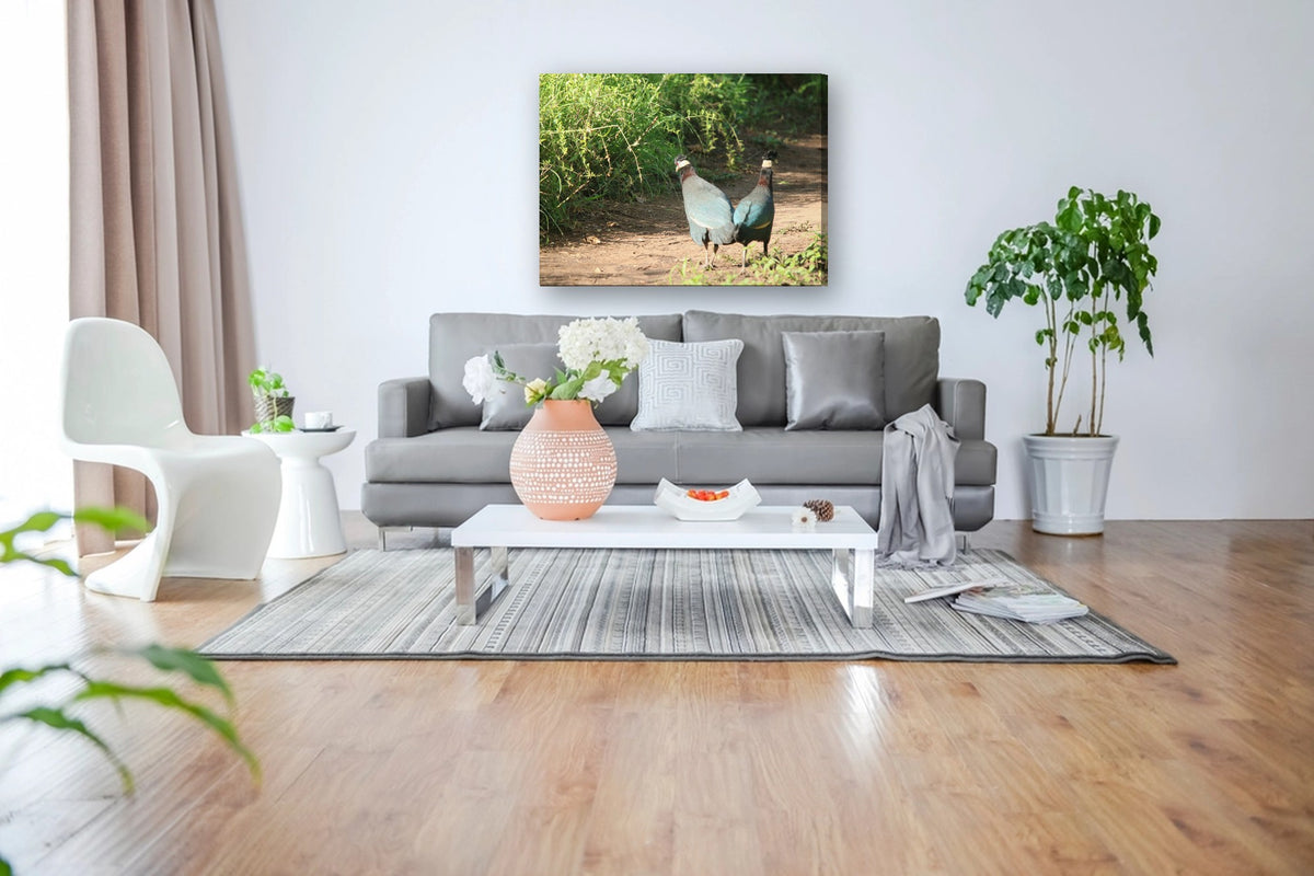 Guineafowl Pair by Mark Isaacs canvas print in a living room