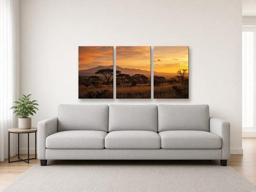 3-Panel Horizontal Split Canvas canvas print of a bushveld sunset landscape hanging above a sofa in a modern living room