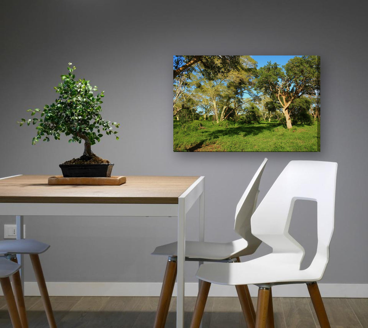 Sunlit Bushveld Clearing by Mark Isaacs canvas print in a dining nook