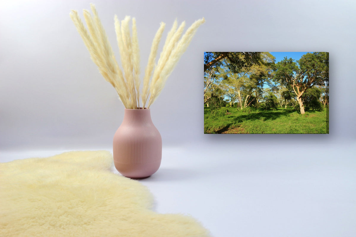 Sunlit Bushveld Clearing by Mark Isaacs canvas print in a styled corner