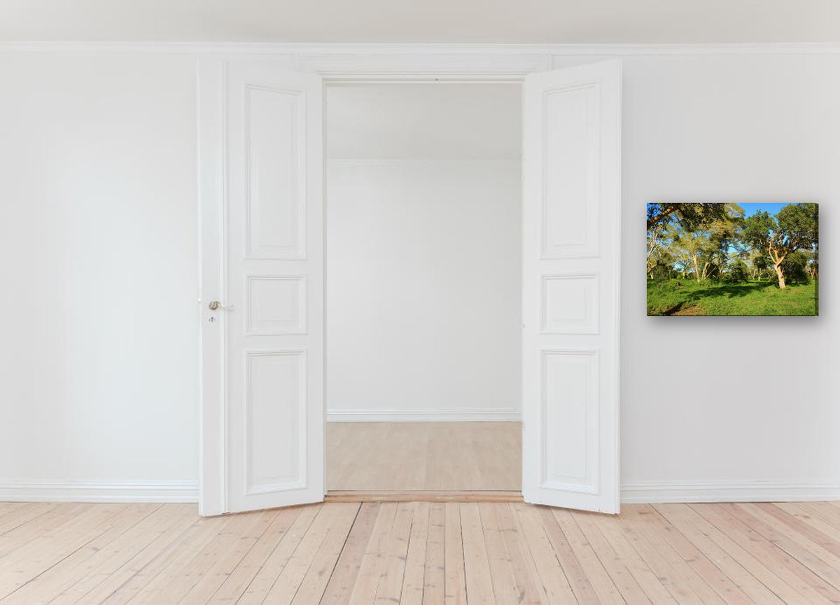 Sunlit Bushveld Clearing by Mark Isaacs canvas print in a hallway